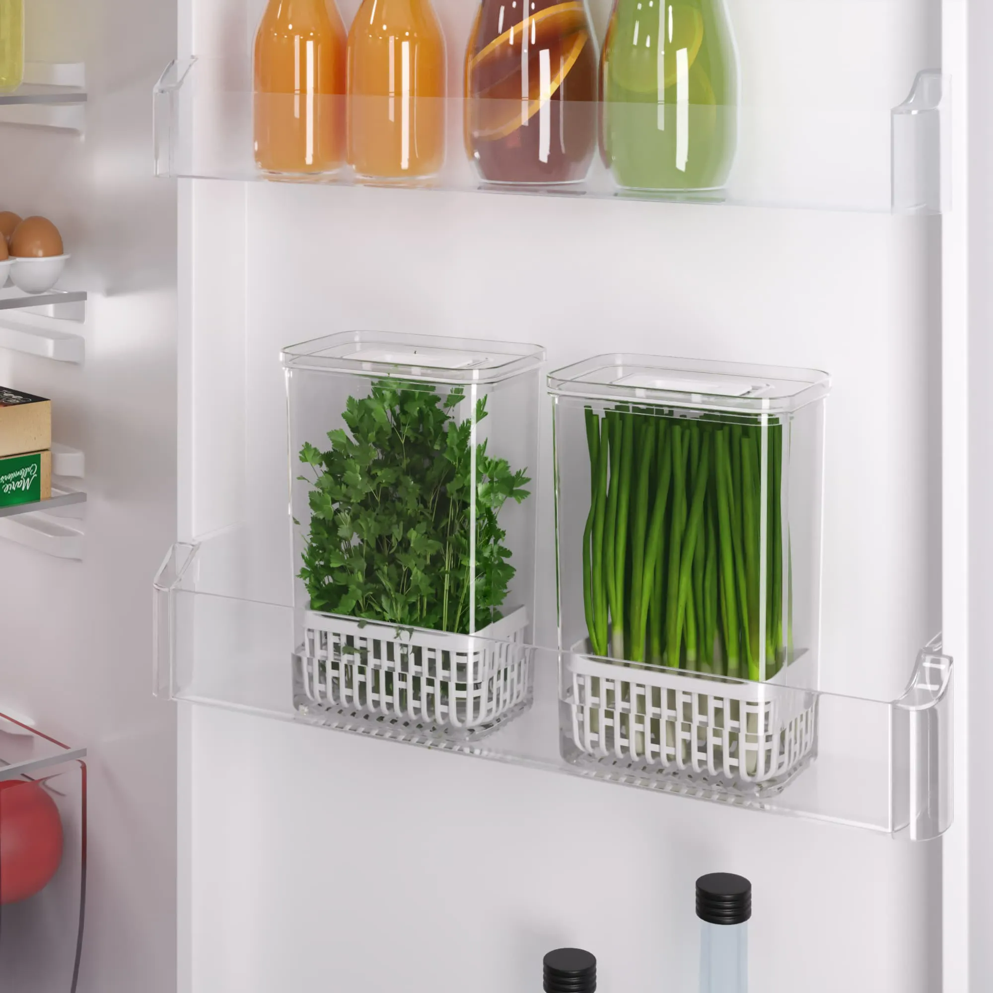 Organizador Para Temperos Frescos Dry